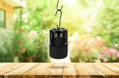 Produktbild von Vitavia Paraffinheizung Loni Fire