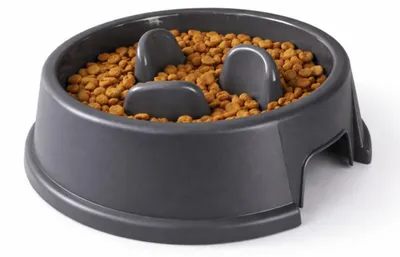 Image de Bol d’Alimentation Anti-Glouton 1 L