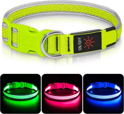 Produktbild von Leuchthalsband für Hunde – USB-C aufladbar – wasserdicht – 3 Lichtmodi – grün – Größe M