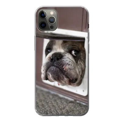 Produktbild von MuchoWow® Handyhülle Schutzhülle Hülle für iPhone 12 Pro Max Hund - Lustig - Katzenklappe - Kinder - Jungen - Mädchen - Kinder Silikon Softcase Handy Hülle - Hartschale