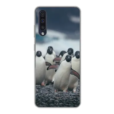 Produktbild von MuchoWow® Handyhülle Schutzhülle Hülle für Samsung Galaxy A30s Adeliepinguine am Strand Silikon Softcase Handy Hülle - Karteninhaber