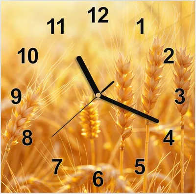 Produktbild von Wanduhr aus Glas mit Motiv Weizenfeld Sonnenuntergang- 30 x 30 cm - inkl. Aufhängesystem