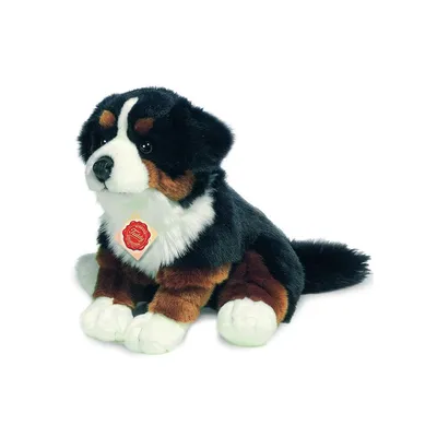 Zdjęcie produktu dla Elementy dla dzieci BERNER SENNENHUND