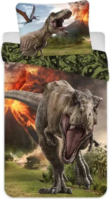 Produktbild von Jurassic World Kinder Bettwäsche Set 135 -140x200 Baumwolle T-Rex Dinosaurier