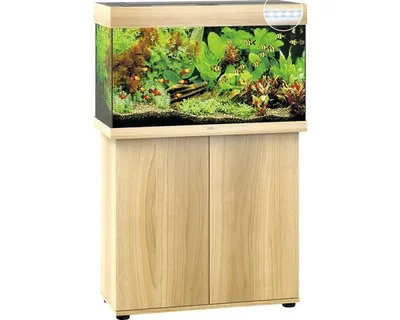 Produktbild von Aquariumkombination JUWEL Rio 125 SBX mit LED-Beleuchtung, Heizer, Filter und Unterschrank helles Holz