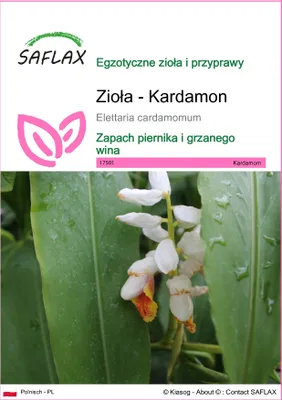 Zdjęcie produktu dla SAFLAX - Zioła - Kardamon - 20 Nasiona - Elettaria cardamomum