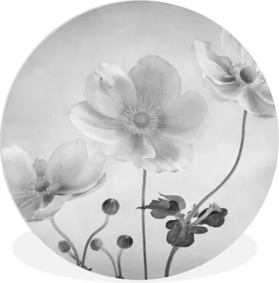 Produktbild von MuchoWow® - Wand-Kreis - Wohnzimmer - Bild - Runde - Wanddeko - Dibond - Kunstdrucke