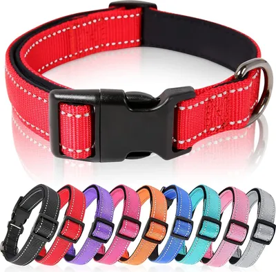 Produktbild von Hundehalsband, Hundehalsband aus Nylon, Reflektierend Halsband Hund mit Weich Neopren Gepolstert für Welpen Kleine Mittel Große Hunde, Rot, S