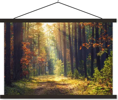 Produktbild von MuchoWow® Textilposter Wald - Herbst - Bäume 150x100 cm mit schwarzem Rahmen - Schlafzimmer