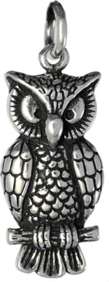 Produktbild von Silberanhänger Eule - Uhu 925er Silber  Schmuck - Vögel - 36x14mm