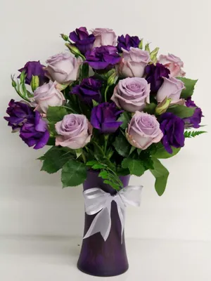 Produktbild von Winterfeste Rosen für Garten und Terrasse