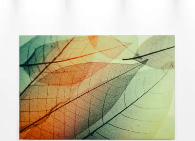 Produktbild von Blatt Leinwandbild Grün 90x60 DD120273 Keilrahmen Wandbild Natur Orange Leinwand