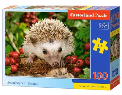Produktbild von Castorland B-111145, Tiere, 6 Jahr(e)