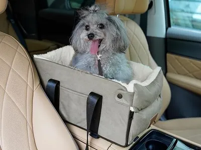Image de Siège auto pour chiens et chats avec housse lavable