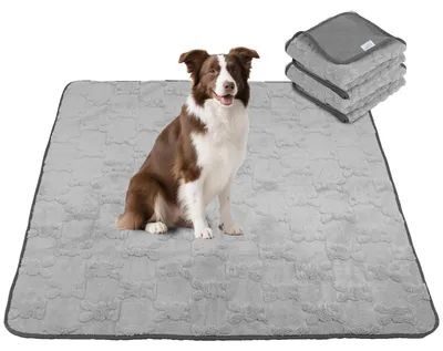 Productafbeelding van Herbruikbare Trainingspads voor Honden, Set van 2