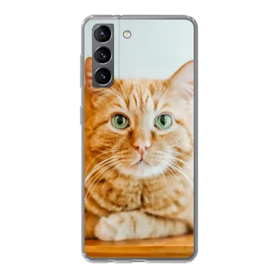 Produktbild von MuchoWow® Handyhülle Schutzhülle Hülle für Samsung Galaxy S21 Katze - Holz - Schrank Silikon Softcase Handy Hülle - Softcase