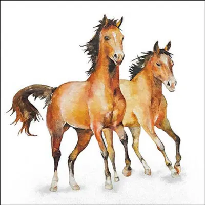 Produktbild von 20 Servietten Wild Horses - Pferde auf weiß 33x33cm