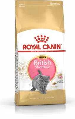 Produktbild von ROYAL CANIN British Shorthair Kitten - trockenfutter für Katzen - 400g