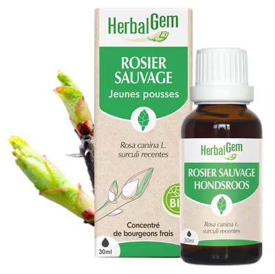 Obrázek produktu pro Herbalgem - Divoký růžový pupen -kvalita - 30 ml
