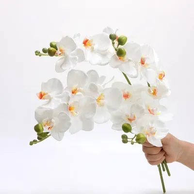 Image de Omgoods - Orchidées artificielles avec 5 fleurs, idéales pour la décoration