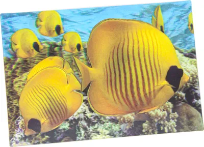 Produktbild von 3D Postkarte Falterfische