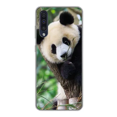 Produktbild von MuchoWow® Handyhülle Schutzhülle Hülle für Samsung Galaxy A30s Panda - Tiere - Dschungel - Natur Silikon Softcase Handy Hülle - Karteninhaber