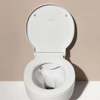 Obrázek produktu pro LAUFEN H8942810000001 WC sedátko + kryt VAL