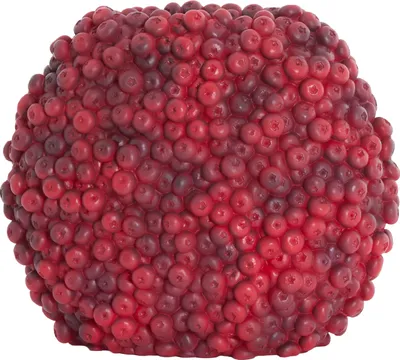 Produktbild von Light & Living - Vase BERRIES - 32x18x27,5cm - Rot