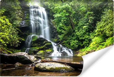 Immagine prodotto di Muralo Fotomurale autoadesivo WATERFALL Alberi Natura Paesaggio 3D L. 135cm x H. 90cm