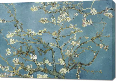 Produktbild von Bild 100x70cm Mandelblüte, Van Gogh Vintage für das Wohnzimmer
