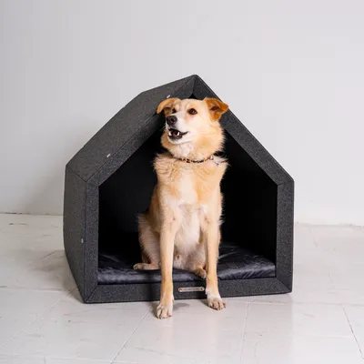 Produktbild von Rexproduct - PetHome 2.0 Hundehütte mit Liegefläche und Dach Biss- und Kratzfest Gute Schalldämmung Umweltfreundlich  Größe M Dunkelgrau und graphite