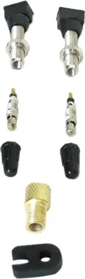 Image de X-sauce Tubeless Presta Valves 2 unités Argent Argent One Size