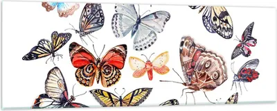 Produktbild von Bilder auf glas - Schmetterlinge Illustration Bunt Flügel - 90x30cm - Glasbilder - Wandbilder - Kunstdruck - Wanddekoration aus Glas - Glas Bilder - Wandbild auf Glas - GAB90x30-2916