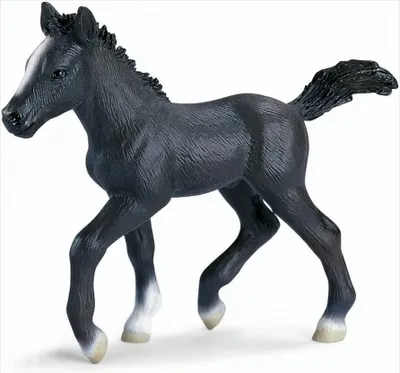 Produktbild von SCHLEICH 13294 - Pferde, Lipizzaner Fohlen