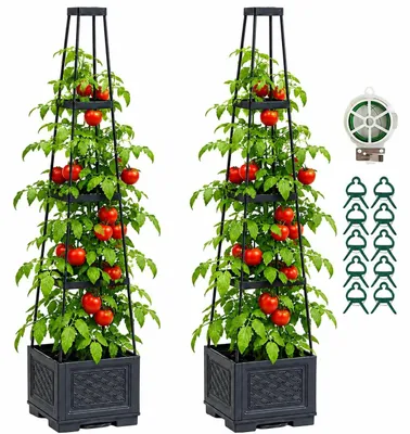 Imagen del producto de Omgoods - Maceta para tomates con soporte para plantas, 2 unidades, ideal para verduras y flores