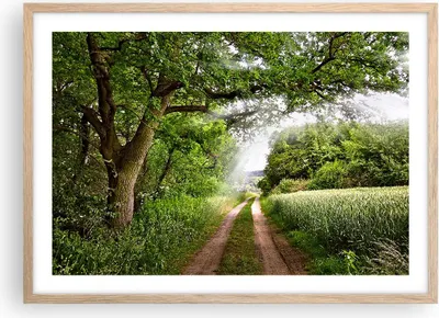 Produktbild von Gerahmtes Poster - Rahmen in heller Eiche - Pfad Natur Wald Grün - 70x50 cm - Wand Bild - Wanddeko - Wandbilder - Wandposter - Bilderrahmen - Bilder - Kunstdruck - Wandbild - P2NAA70x50-2637