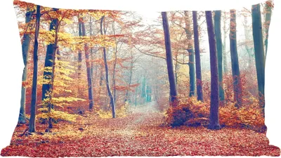Produktbild von MuchoWow® Zierkissen Sofakissen Wohnzimmer Dekokissen 60x40 cm Wald - Herbst - Laub - Kopfkissen - Polster mit Foto