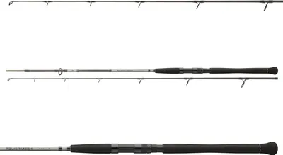 Produktbild von Daiwa Powermesh CF Spin 2,70m 185g