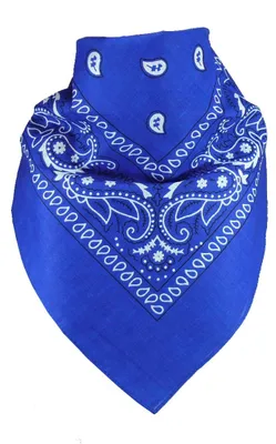 Produktbild von Bandana 100% Baumwolle 54x54 cm – Halstuch, Kopftuch, hitze- und schweißresistent