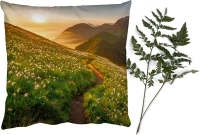 Produktbild von MuchoWow® Zierkissen Sofakissen Wohnzimmer Dekokissen 60x60 cm Blumen - Sonne - Berge - Sitzfläche - Foto Polster