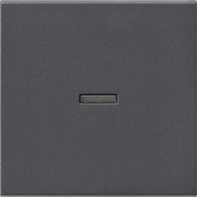 Produktbild von GIRA 029028 Wippe Kontrollfenster System 55 Anthrazit