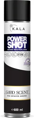 A product shot of an air freshener spray can.