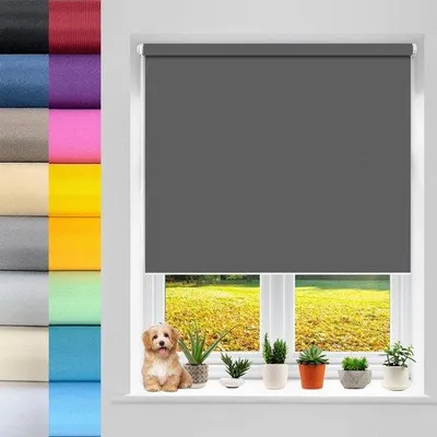 Imagen del producto de Persiana enrollable doble, 30 x 200 cm, color , con 100% de opacidad, ideal para jardín, terraza, ventanas y puertas
