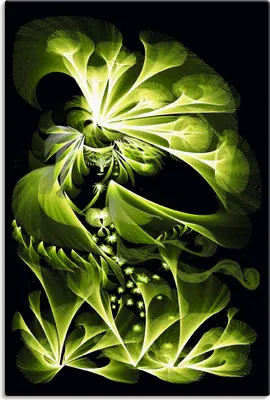 Produktbild von ARTland Leinwandbild Grüne Gartenfee Größe: 40x60 cm