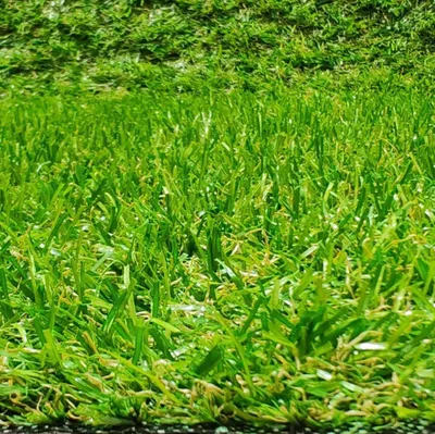 Image de Gazon synthétique pour jardin et terrasse, dimensions 100 x 600 cm