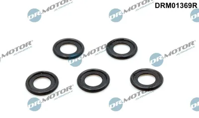 Produktbild von DR.MOTOR AUTOMOTIVE Dichtring Ölablaßschraube Dichtring DRM01369R für OPEL ZAFIRA B (A05)