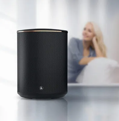 Obrázek produktu pro Hama 54859, 1.0 kanály/kanálů, Kabelový a bezdrátový, Přenosný mono reproduktor, Černá, Kov, Plast, Dřevo, Bluetooth, WLAN