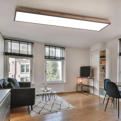 Produktbild von LED Wohnzimmerleuchte, Holzoptik, opal, L 120cm