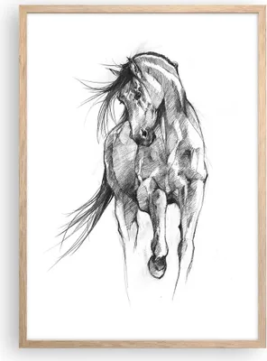 Produktbild von Gerahmtes Poster - Rahmen in heller Eiche - Pferd Galopp Tier - 50x70 cm - Wand Bild - Wanddeko - Wandbilder - Kunstposter - Wandposter - Bilderrahmen - Bilder - Kunstdruck - P2NPA50x70-5080