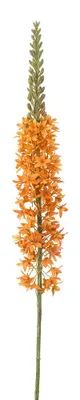 Immagine prodotto di Clayre & Eef, fiore artificiale, colore arancione, materiale: plastica